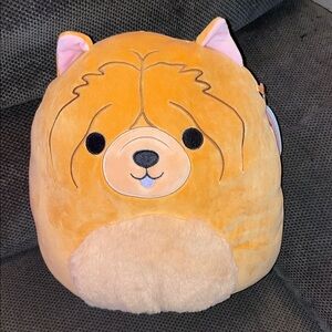 Ultra Rare! Squishmallows Sandro Plush Toy